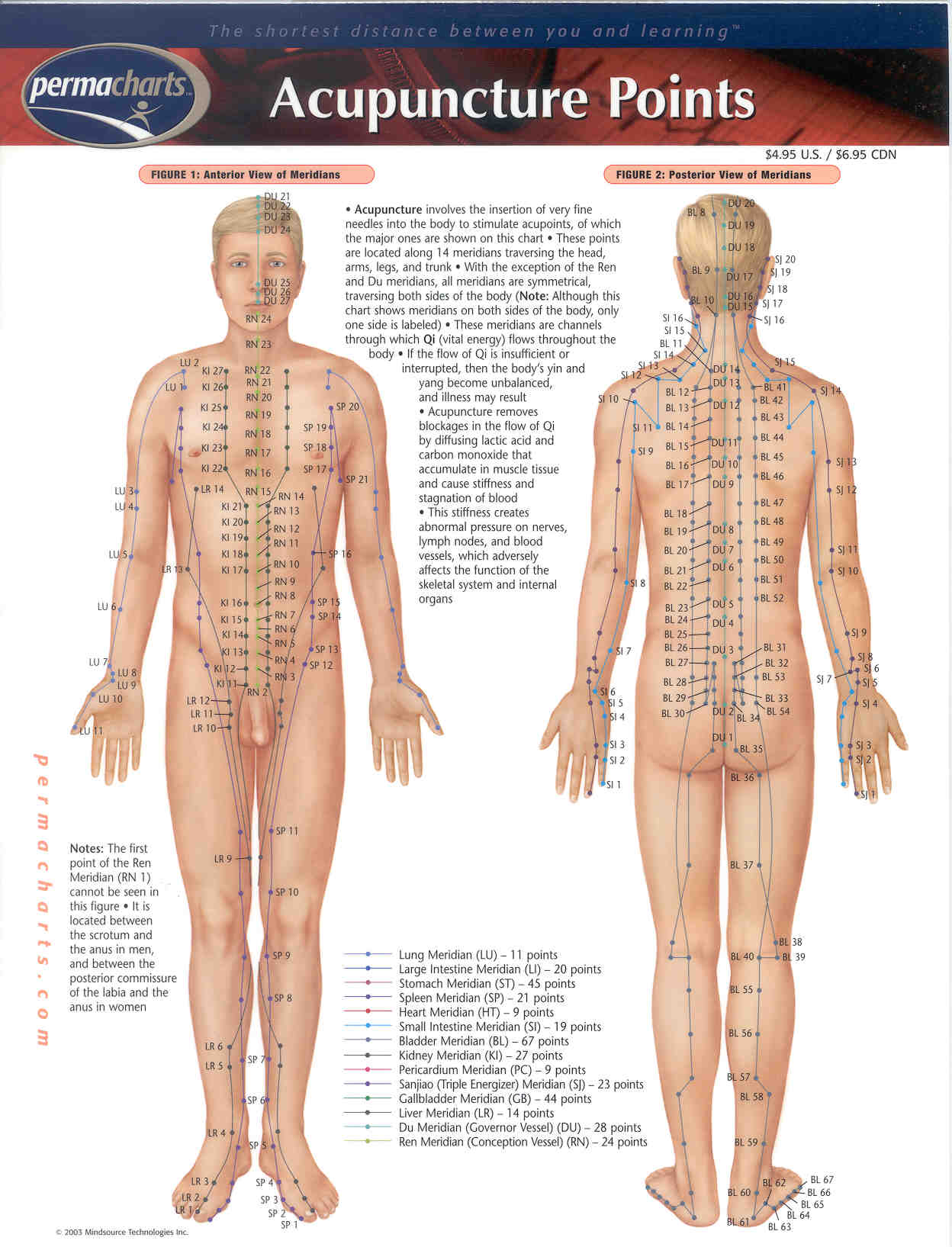 Body Point Chart (digital version)