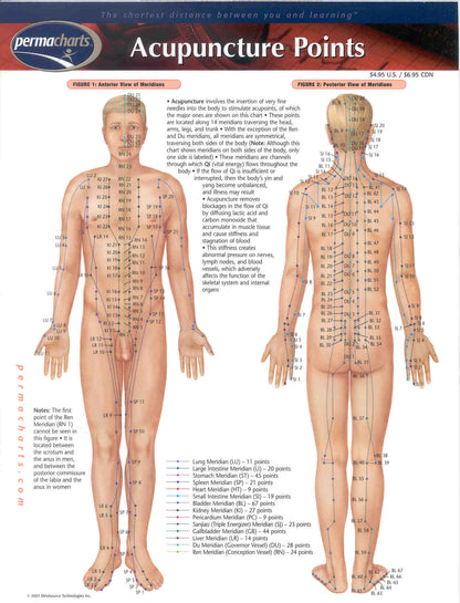 Body Point Chart (digital version)