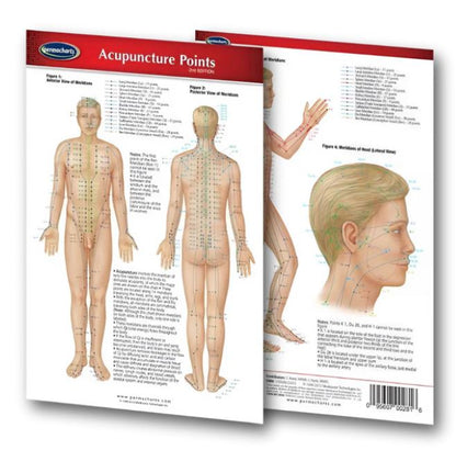 Body Point Chart (digital version)